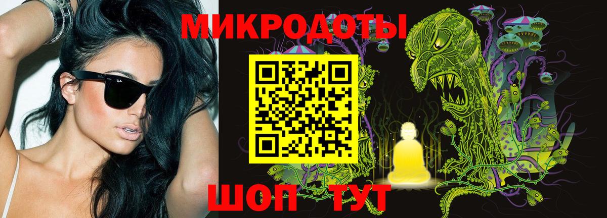 Галлюциногенные грибы Psilocybe  Вход с VPN  Котлас 
